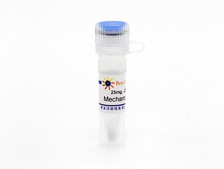 Mechano Growth Factor (机械生长因子)